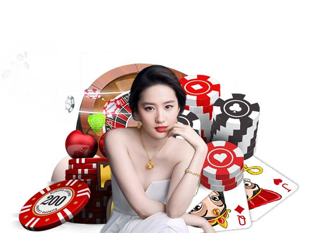 体育手机APP下载登录线路